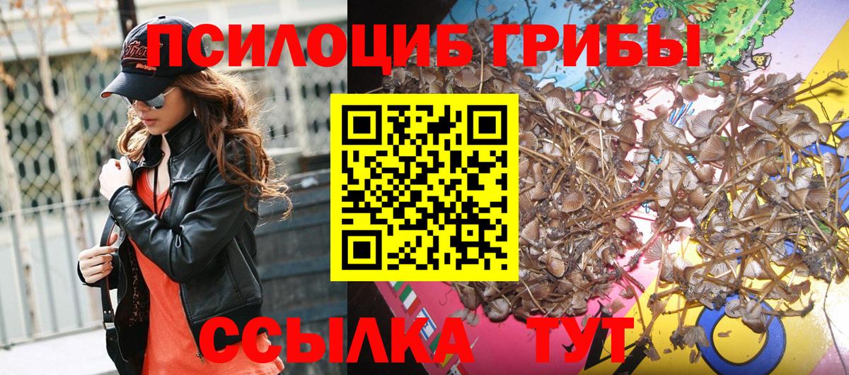 Галлюциногенные грибы мухоморы Краснокамск