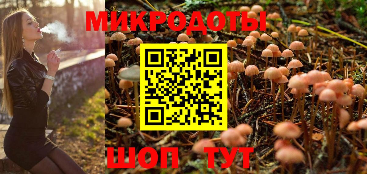 Галлюциногенные грибы Psilocybe  Краснокамск  Галлюциногенные грибы GOLDEN TEACHER 