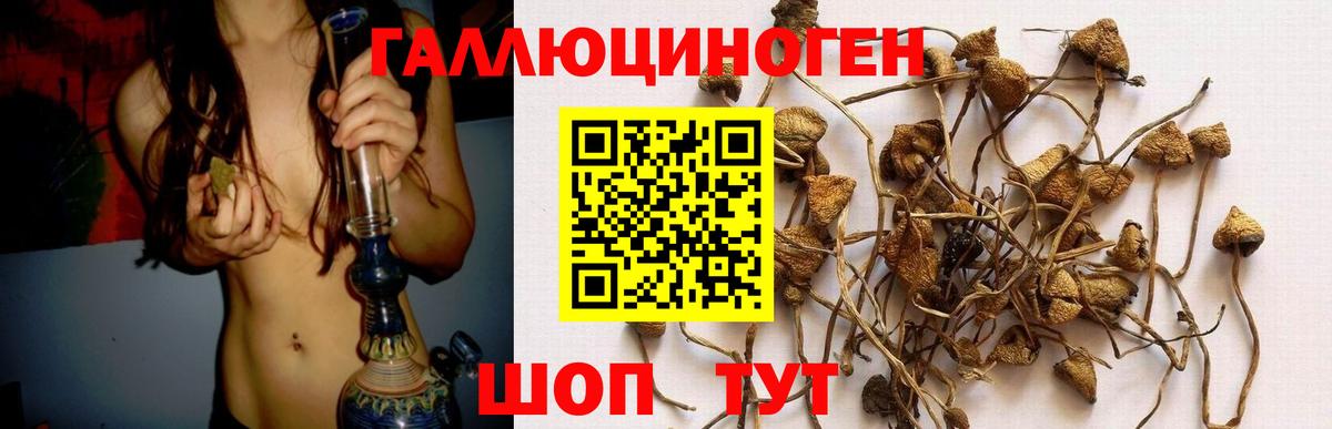 как найти   Вход с VPN  Краснокамск  Псилоцибиновые грибы Psilocybine cubensis  Псилоцибиновые грибы Psilocybe 