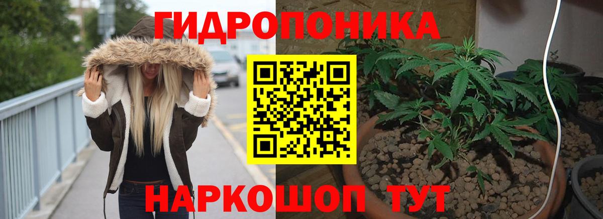 Канабис конопля  Марихуана гибрид  Конопля план  Краснокамск 